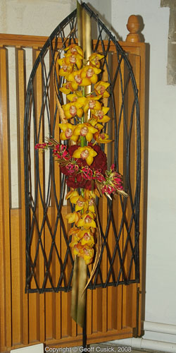 20081129Newport-Flowers0081.jpg 20081129Newport-Flowers0081.jpg