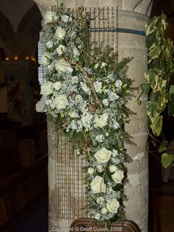 20081129Newport-Flowers0083.jpg 20081129Newport-Flowers0083.jpg
