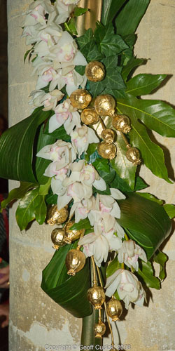 20081129Newport-Flowers0085.jpg 20081129Newport-Flowers0085.jpg