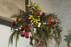 20081129Newport-Flowers0087.jpg 20081129Newport-Flowers0087.jpg