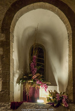 20081129Newport-Flowers0089.jpg 20081129Newport-Flowers0089.jpg