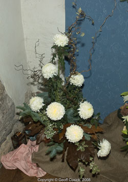 20081129Newport-Flowers0095.jpg 20081129Newport-Flowers0095.jpg