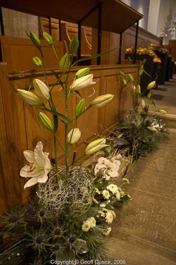 20081129Newport-Flowers0104.jpg 20081129Newport-Flowers0104.jpg