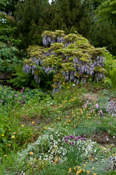 20110518GardenHouse0004.jpg