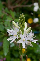 20110518GardenHouse0014.jpg