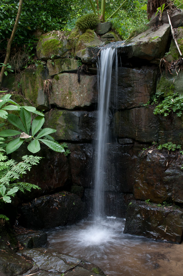 20110709Rosemoor-Workshop0031.jpg