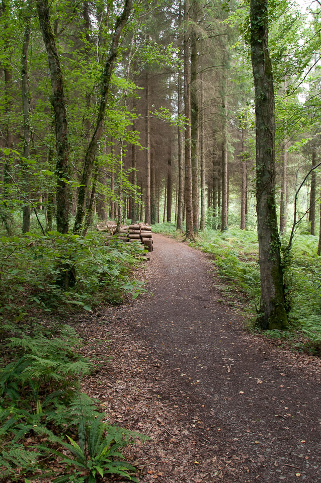 20110710RosemoorWorkshop0083.jpg