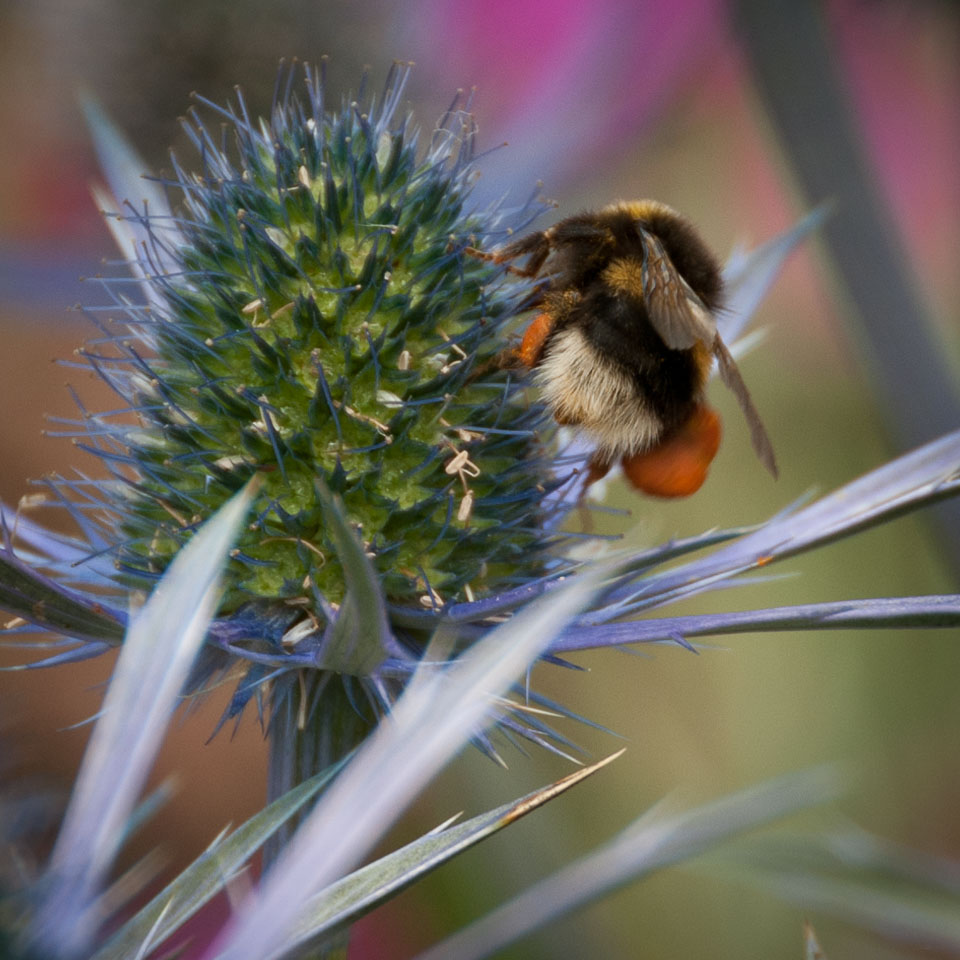 20110710RosemoorWorkshop0092.jpg