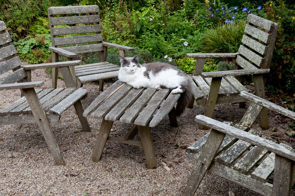 20110831Church-House-Garden0084.jpg