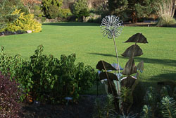 20140120Rosemoor0019.jpg