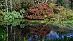 Rosemoor, Autumn 2011 Rosemoor, Autumn 2011