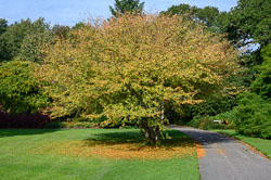 20211014Rosemoor0008.jpg 20211014Rosemoor0008.jpg