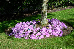 20211014Rosemoor0016.jpg 20211014Rosemoor0016.jpg