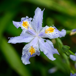 20211014Rosemoor0018.jpg 20211014Rosemoor0018.jpg