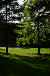 20211014Rosemoor0020.jpg 20211014Rosemoor0020.jpg