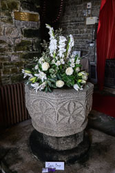20250825Broadwood-Flowers0002.jpg
