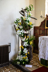 20250825Broadwood-Flowers0013.jpg