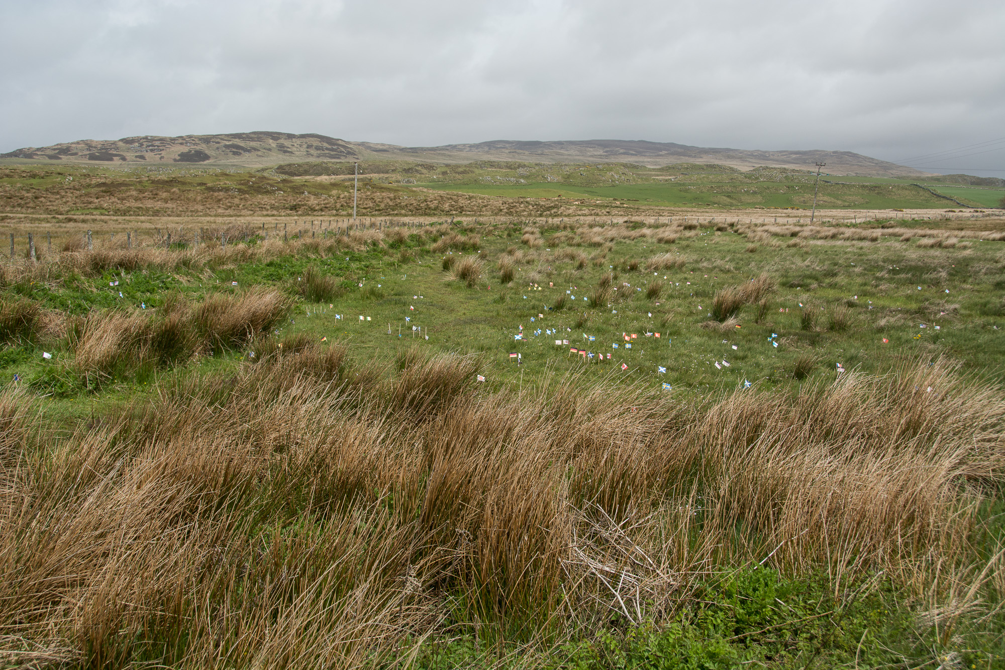 20150517Scotland0358.jpg