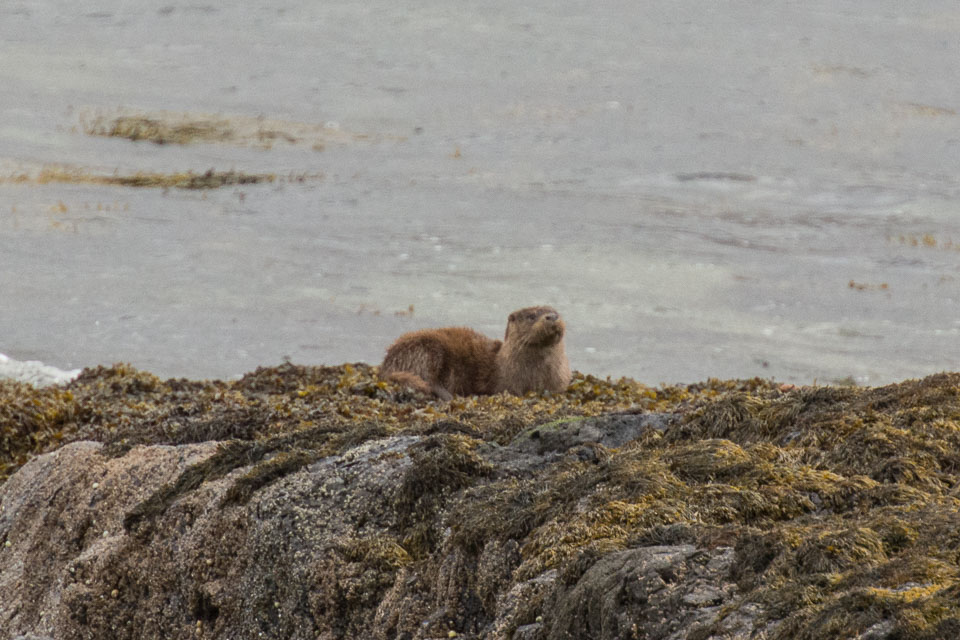 20150511Scotland0094.jpg