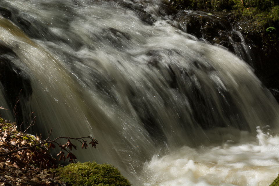 20150511Scotland0124.jpg