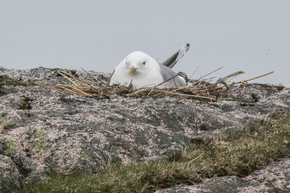 20150511Scotland0152.jpg