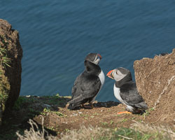 20160510MullISlay0131.jpg 20160510MullISlay0131.jpg