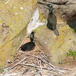 20160510MullISlay0144.jpg 20160510MullISlay0144.jpg