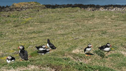 20160510MullISlay0182.jpg 20160510MullISlay0182.jpg