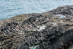 20160510MullISlay0204.jpg 20160510MullISlay0204.jpg