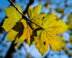 20160512MullISlay0249.jpg 20160512MullISlay0249.jpg