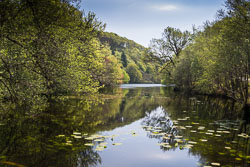 20160512MullISlay0258.jpg 20160512MullISlay0258.jpg