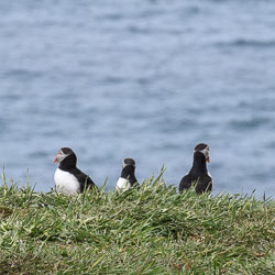 20210608Lunga0169.jpg 20210608Lunga0169.jpg