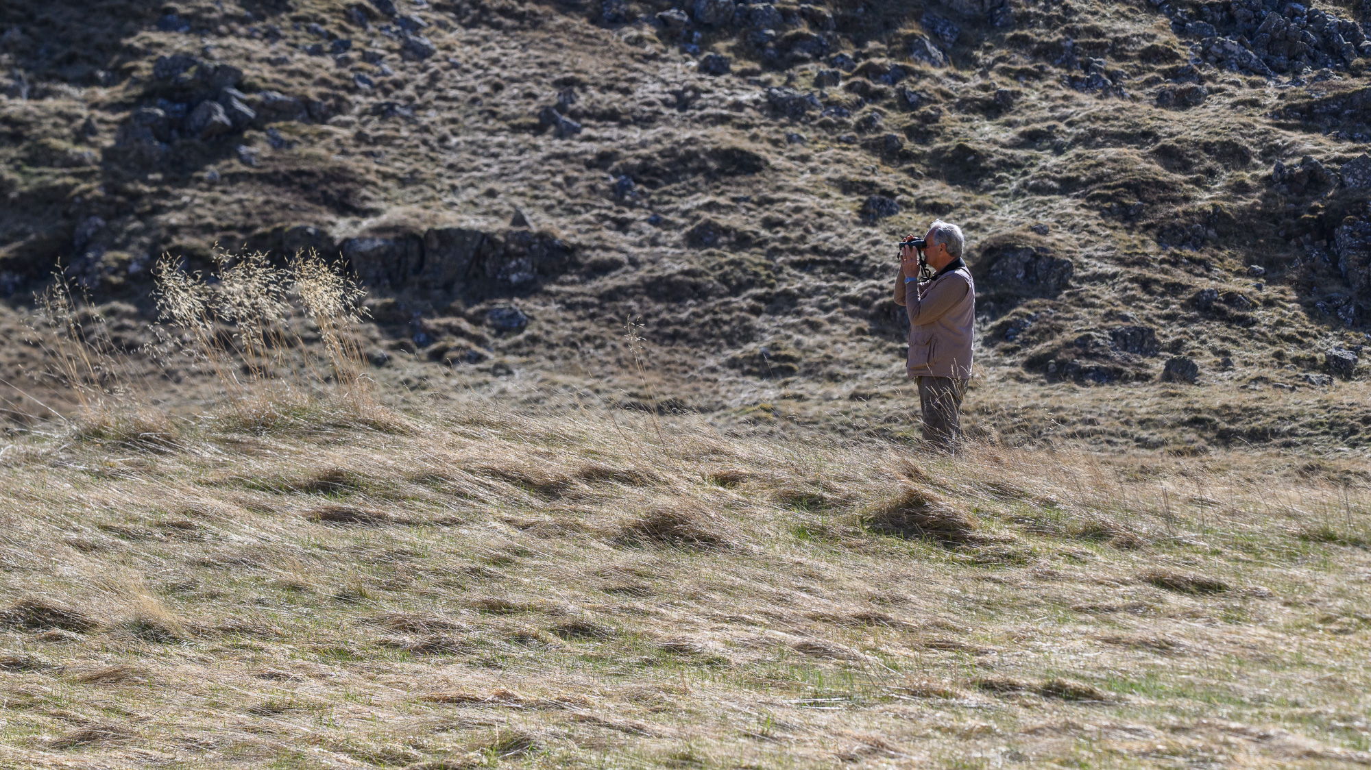20250407Scotland0291.jpg