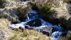 20250404Scotland0052.jpg