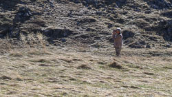 20250407Scotland0291.jpg 20250407Scotland0291.jpg