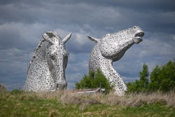 20260510Ballathie0009.jpg 20260510Ballathie0009.jpg