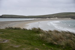 20260515Shetland0019.jpg