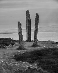 20260521Orkney0041.jpg 20260521Orkney0041.jpg