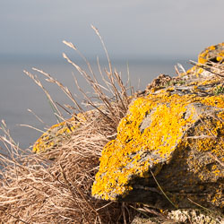 201309Tintagel0015.jpg