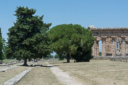 Paestum, July 2015 Paestum, July 2015