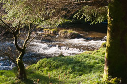 20101113Llanidloes0001.jpg