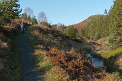 20101113Llanidloes0014.jpg