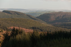 20101113Llanidloes0018.jpg