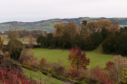 20101114Llanidloes0020.jpg