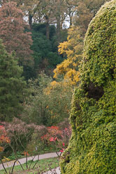 20101114Llanidloes0023.jpg