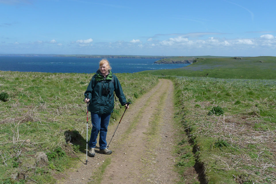 20130522Skomer0035.jpg