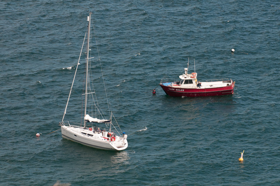 20130522Skomer0068.jpg