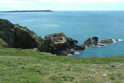 20130522Skomer0025.jpg