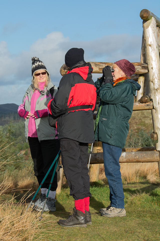 20131204LLanidloes0005.jpg