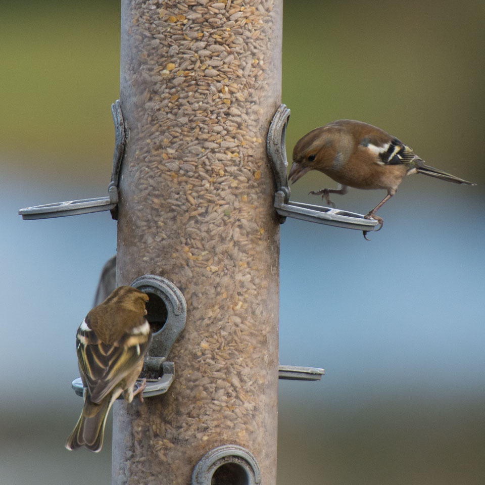 20131204LLanidloes0025.jpg